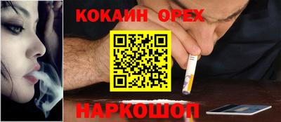 прущие крисы Славгород