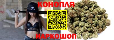 прущие крисы Славгород