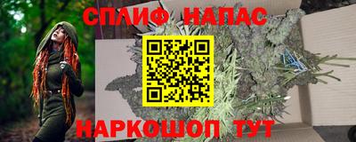 прущие крисы Славгород