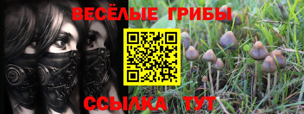 Галлюциногенные грибы прущие грибы Саянск
